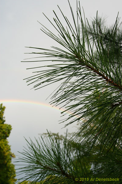 rainbow and raindrops larger