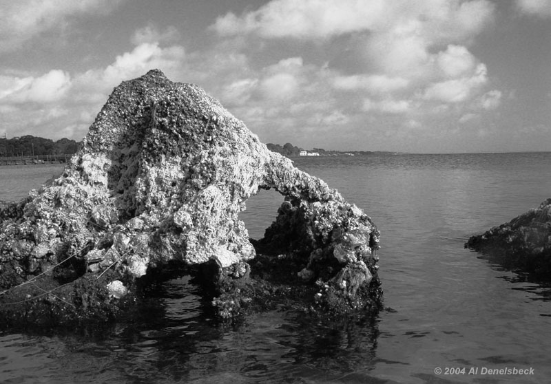 monochrome ocean rocks