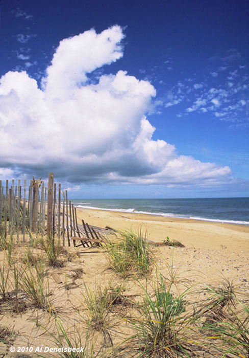 Kill Devil Hills beach scene