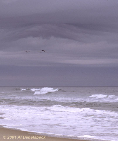 ocean storm clouds vertical