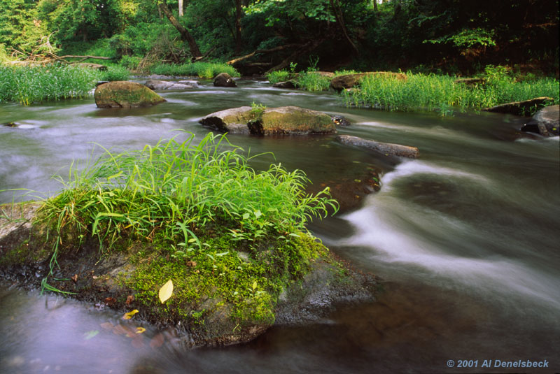 Neuse River ripples