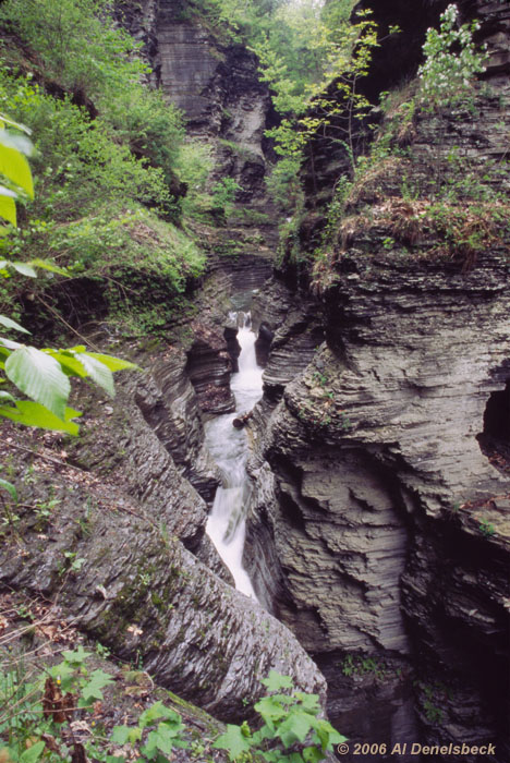 watkins glen