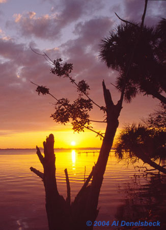 Indian River Lagoon sunrise