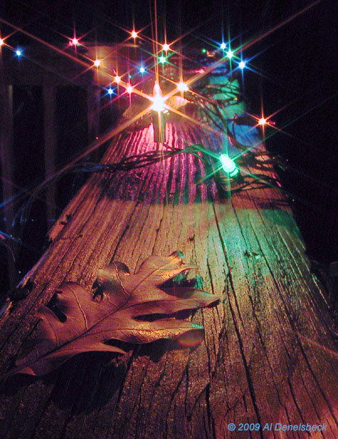 fall leaf and holiday lights