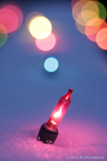 holiday lights in snow