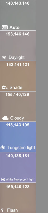 white balance settings compared