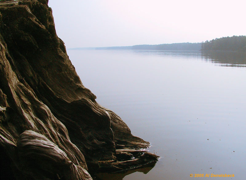 dead stump against empty lake